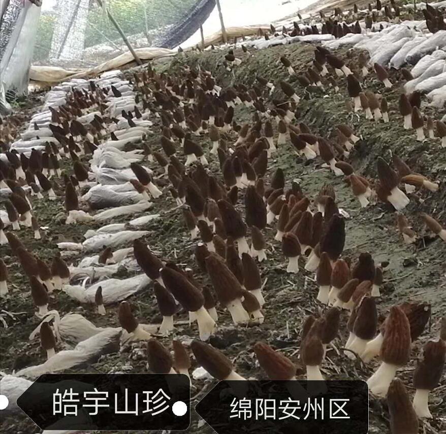 &#24320;&#20803;&#32593;&#31449;&#30331;&#24405;&#20837;&#21475;&#95;&#24320;&#20803;&#65288;&#20013;&#22269;&#65289;