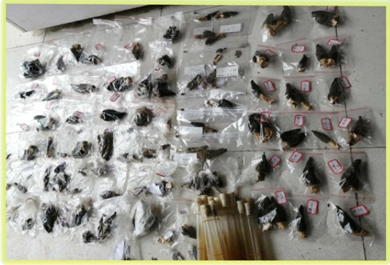 &#24320;&#20803;&#32593;&#31449;&#30331;&#24405;&#20837;&#21475;&#95;&#24320;&#20803;&#65288;&#20013;&#22269;&#65289;