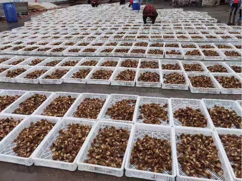 &#24320;&#20803;&#32593;&#31449;&#30331;&#24405;&#20837;&#21475;&#95;&#24320;&#20803;&#65288;&#20013;&#22269;&#65289;
