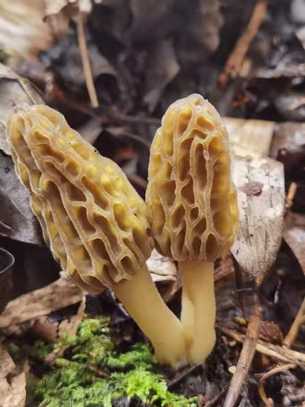 &#24320;&#20803;&#32593;&#31449;&#30331;&#24405;&#20837;&#21475;&#95;&#24320;&#20803;&#65288;&#20013;&#22269;&#65289;