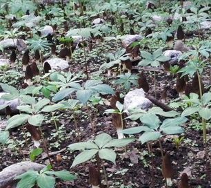&#24320;&#20803;&#32593;&#31449;&#30331;&#24405;&#20837;&#21475;&#95;&#24320;&#20803;&#65288;&#20013;&#22269;&#65289;