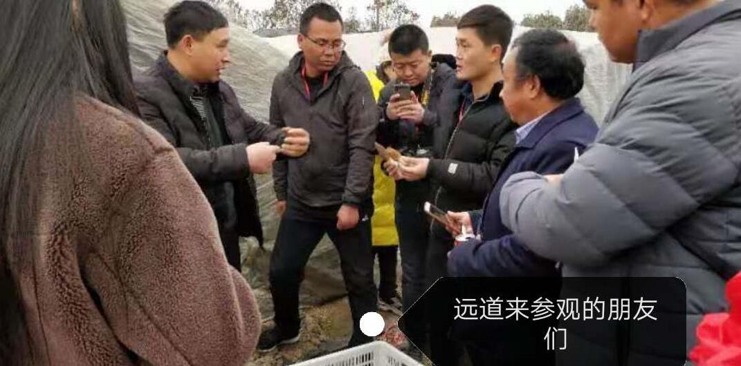 &#24320;&#20803;&#32593;&#31449;&#30331;&#24405;&#20837;&#21475;&#95;&#24320;&#20803;&#65288;&#20013;&#22269;&#65289;