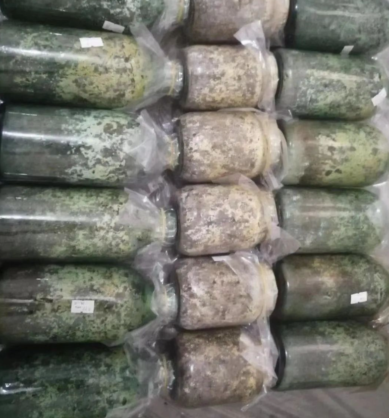 &#24320;&#20803;&#32593;&#31449;&#30331;&#24405;&#20837;&#21475;&#95;&#24320;&#20803;&#65288;&#20013;&#22269;&#65289;